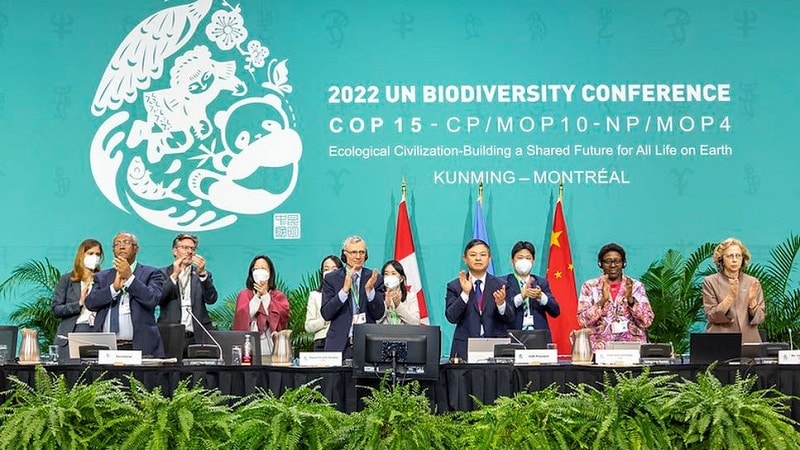 Países llegan a un acuerdo histórico para proteger la biodiversidad del planeta