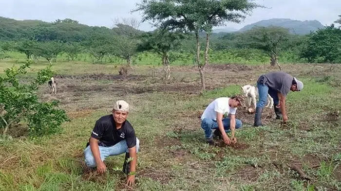 Reforestan comunidad El Quebrantadero de Juigalpa