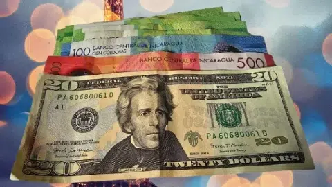Remesas superan los 2,400 millones de dólares en el primer semestre de 2024